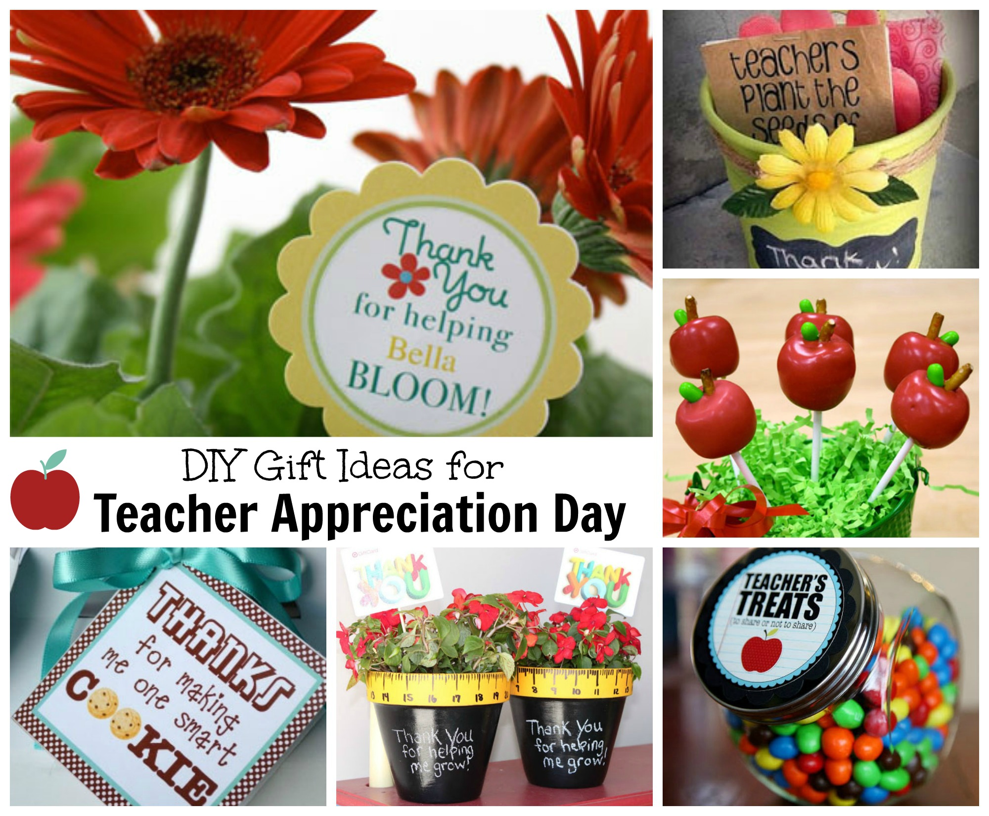 teacher appreciation ideas for students