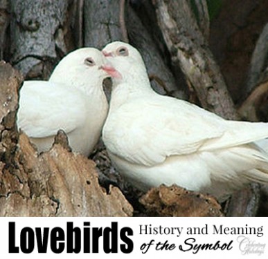History of Valentines Day – The Birdwatch